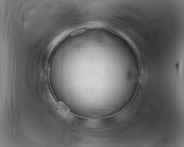 X0000116311477200912141347