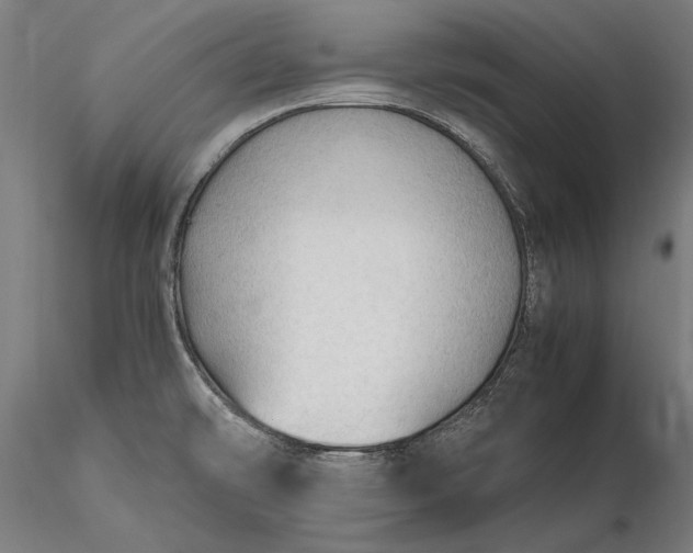 X0000116311478200912141347