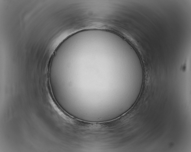 X0000116311479200912141347