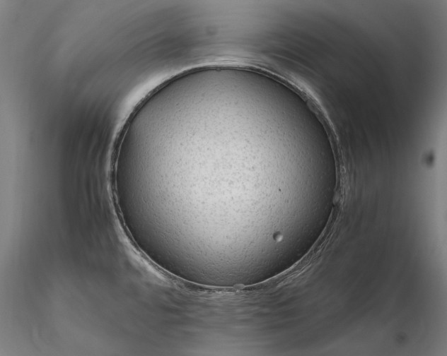 X0000116311480200912141347