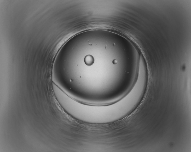 X0000116311481200912141347