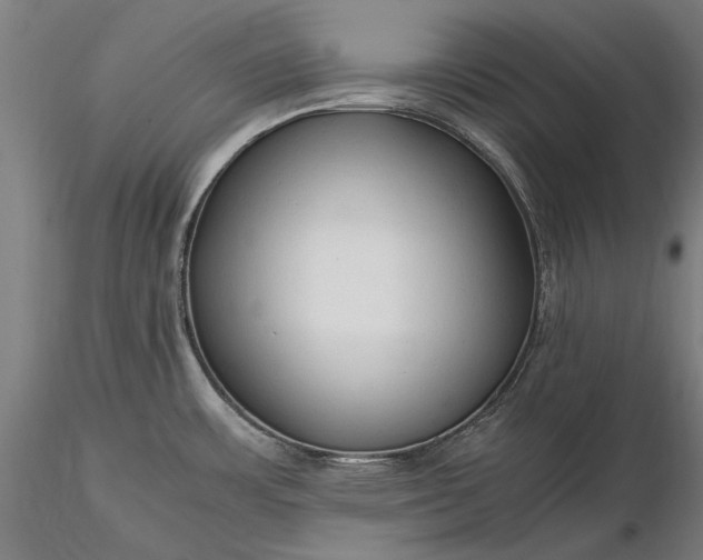 X0000116311483200912141347