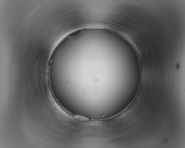 X0000116311484200912141347