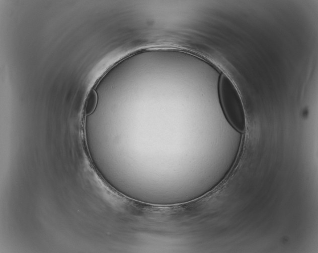 X0000116311485200912141347