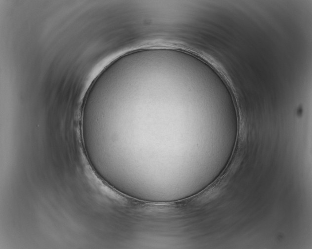 X0000116311486200912141347