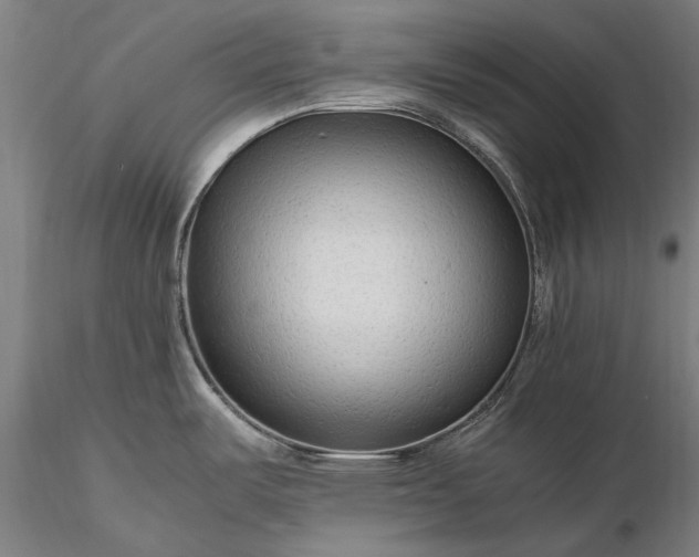 X0000116311487200912141347