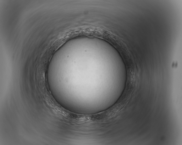 X0000116311489200912141346