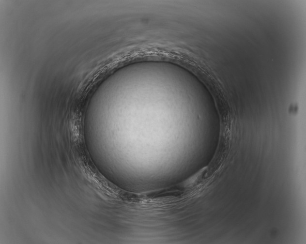 X0000116311490200912141346