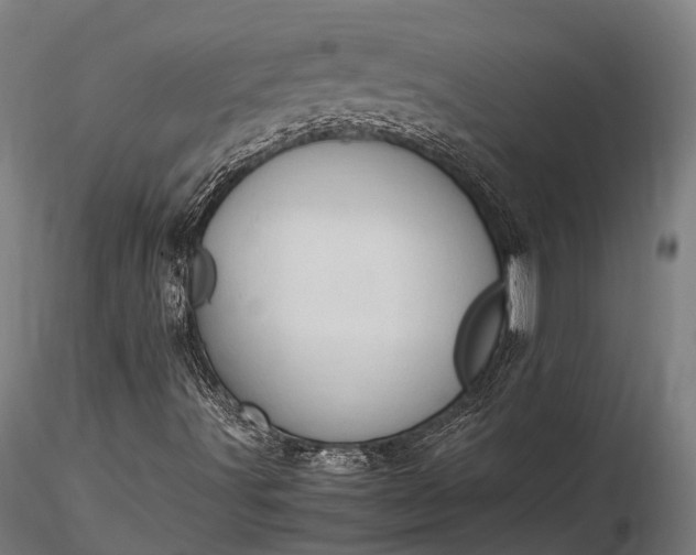 X0000116311491200912141346