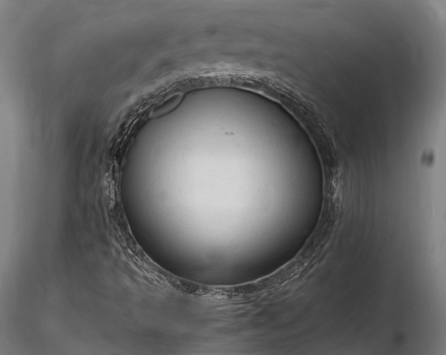 X0000116311493200912141346