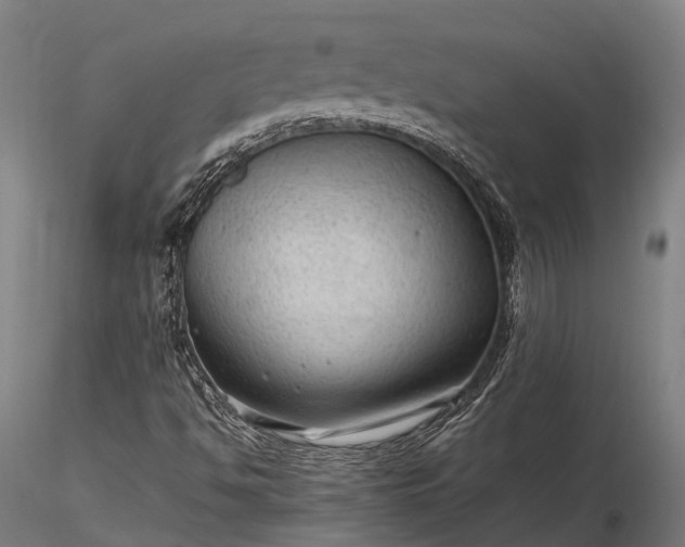 X0000116311494200912141346