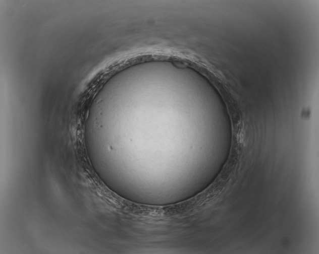 X0000116311495200912141346