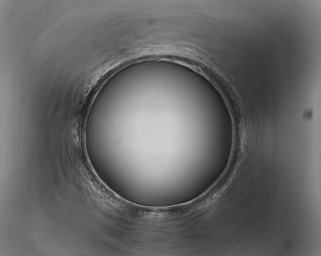 X0000116311497200912141346