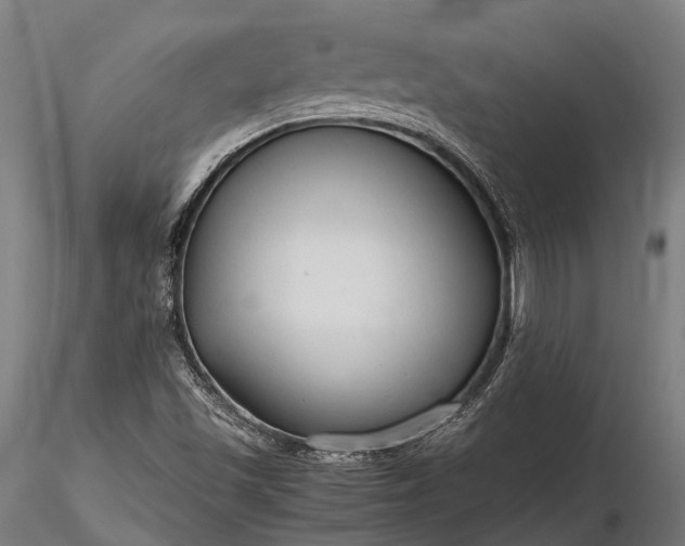 X0000116311501200912141346