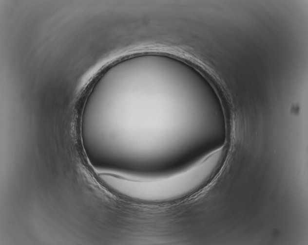 X0000116311502200912141346