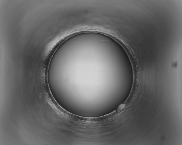 X0000116311503200912141346