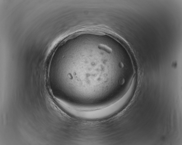 X0000116311506200912141346