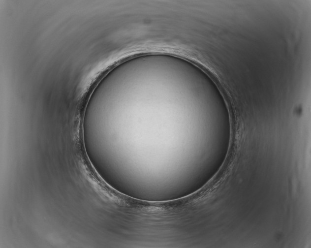 X0000116311507200912141346