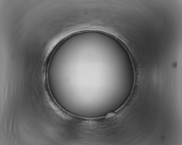 X0000116311511200912141346