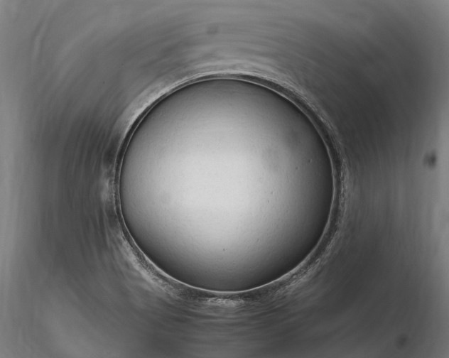 X0000116311513200912141346