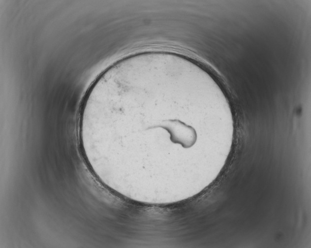 X0000116311514200912141346