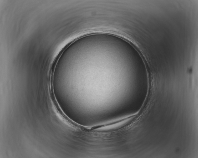 X0000116311515200912141346