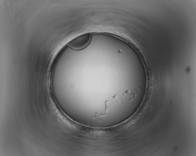 X0000116311517200912141346