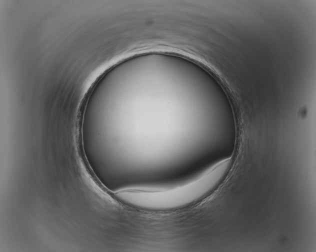 X0000116311518200912141347