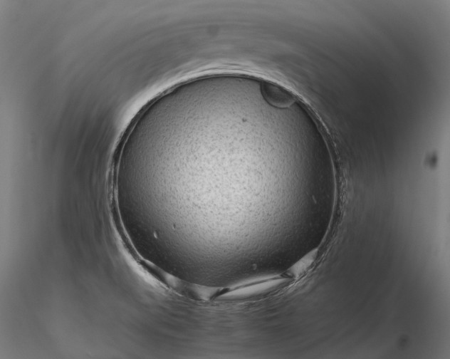 X0000116311519200912141347