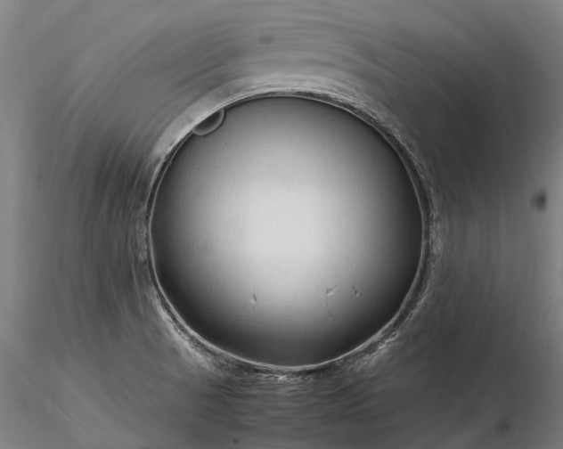 X0000116311521200912141347