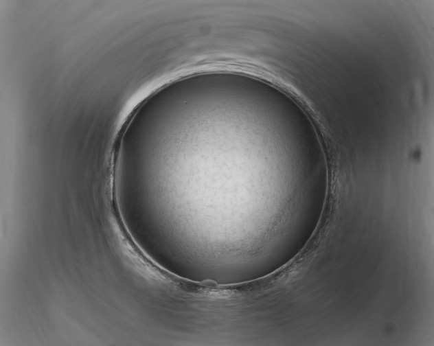 X0000116311522200912141347