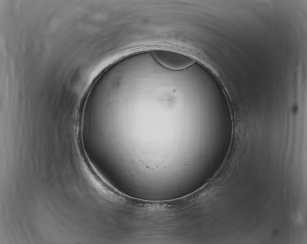 X0000116311523200912141347