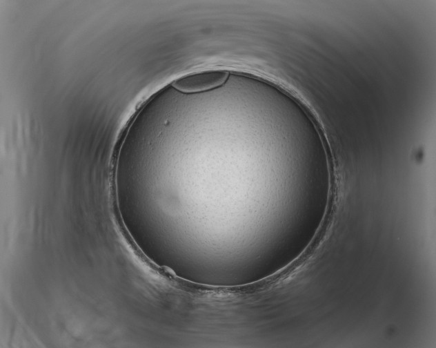 X0000116311525200912141347