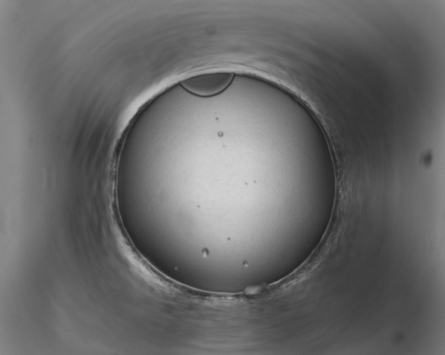 X0000116311526200912141347