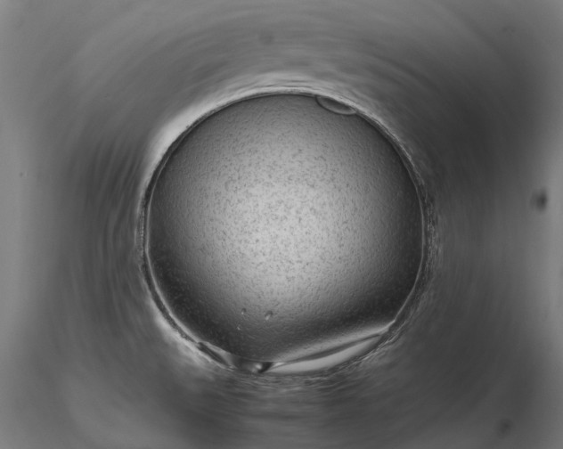 X0000116311527200912141347