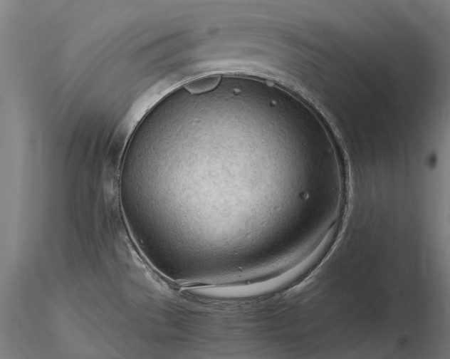 X0000116311529200912141347