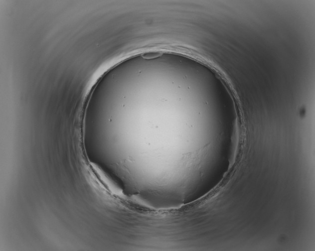 X0000116311530200912141347