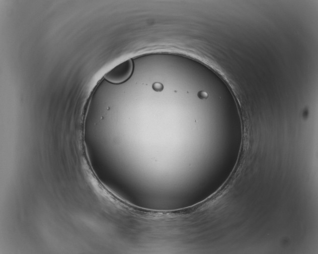 X0000116311534200912141347