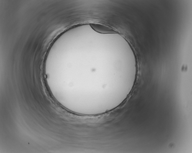 X0000116310001200912211932