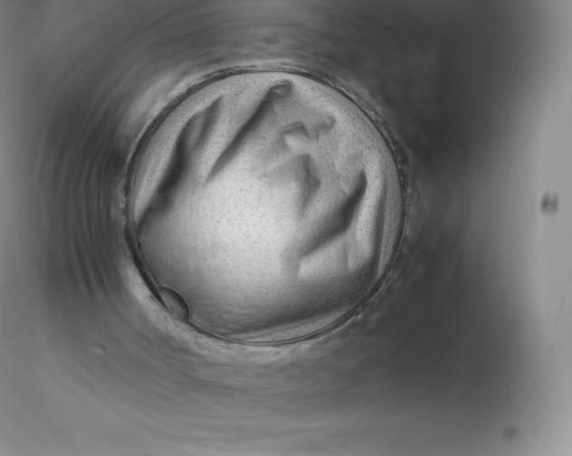 X0000116310002200912211932