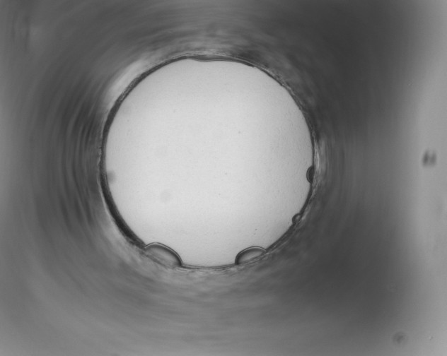 X0000116310003200912211932