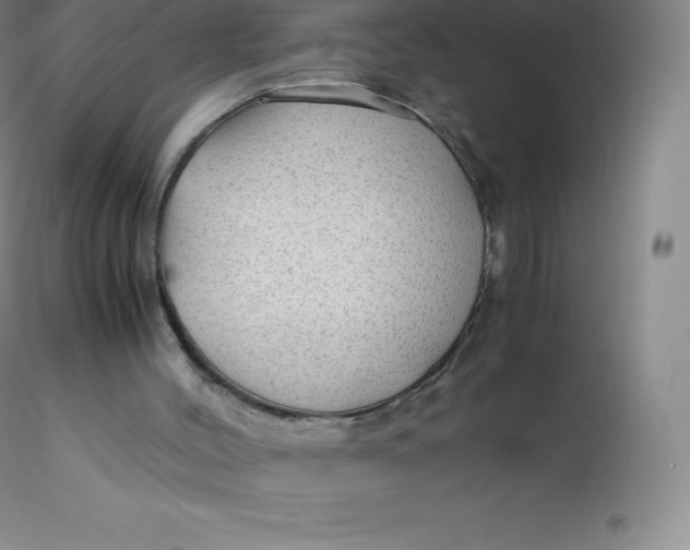 X0000116310004200912211932