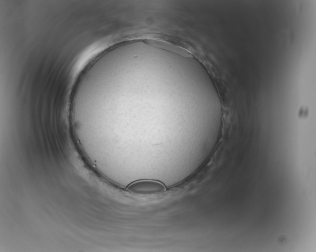 X0000116310006200912211932