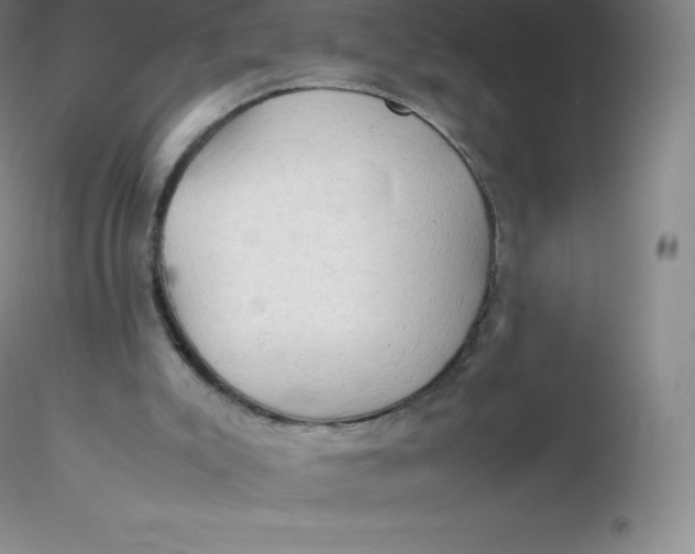 X0000116310007200912211932