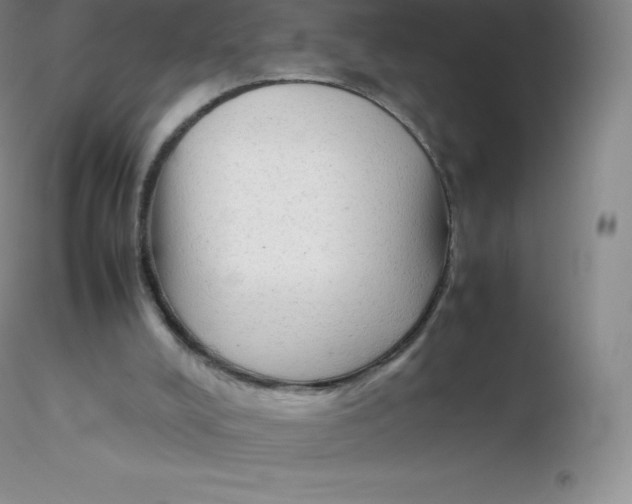 X0000116310008200912211932