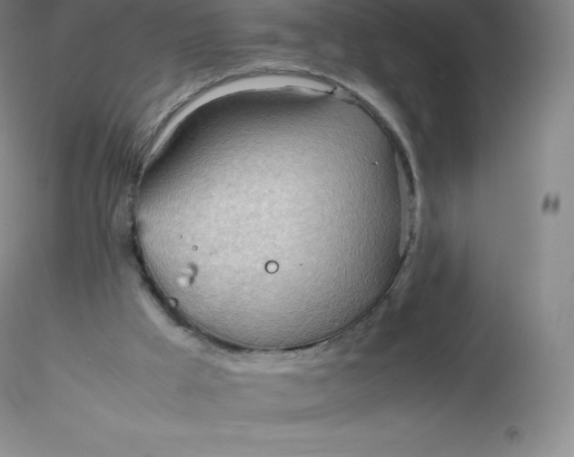 X0000116310009200912211932