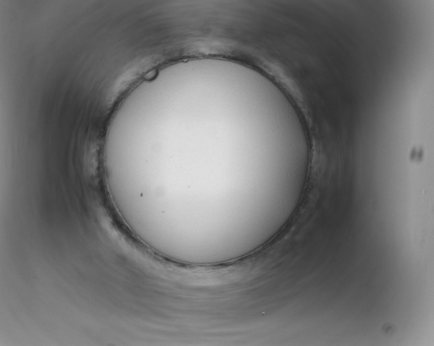 X0000116310010200912211932