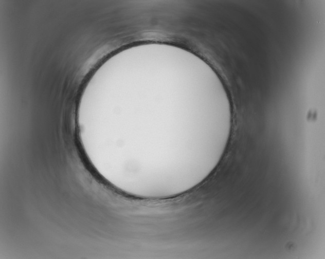 X0000116310011200912211932