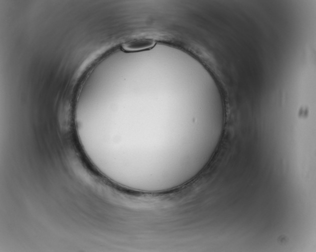 X0000116310012200912211932