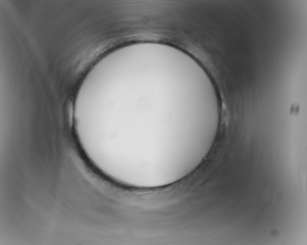 X0000116310013200912211932